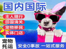 布尔津喀纳斯航空邮寄国际宠物托运 【国